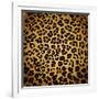 Leopard Print-Sonet999-Framed Art Print