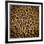 Leopard Print-Sonet999-Framed Art Print