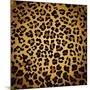 Leopard Print-Sonet999-Mounted Art Print