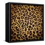 Leopard Print-Sonet999-Framed Stretched Canvas