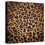 Leopard Print-Sonet999-Stretched Canvas