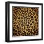 Leopard Print-Sonet999-Framed Art Print