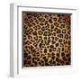 Leopard Print-Sonet999-Framed Art Print