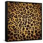 Leopard Print-Sonet999-Framed Stretched Canvas