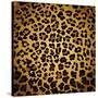 Leopard Print-Sonet999-Stretched Canvas