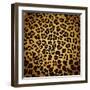 Leopard Print-Sonet999-Framed Art Print