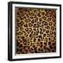 Leopard Print-Sonet999-Framed Art Print