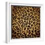 Leopard Print-Sonet999-Framed Art Print