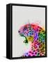Leopard Rainbow Splash 2-Fab Funky-Framed Stretched Canvas