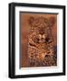 Leopard Relaxing at Animal Rehabilitation Farm, Namibia-Theo Allofs-Framed Photographic Print