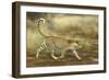 Leopard Running-null-Framed Photographic Print