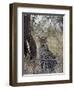 Leopard, Samburu National Reserve, Kenya, East Africa, Africa-James Hager-Framed Photographic Print