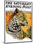 "Leopard," Saturday Evening Post Cover, August 29, 1931-Jack Murray-Mounted Giclee Print