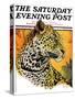 "Leopard," Saturday Evening Post Cover, August 29, 1931-Jack Murray-Stretched Canvas