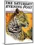 "Leopard," Saturday Evening Post Cover, August 29, 1931-Jack Murray-Mounted Premium Giclee Print