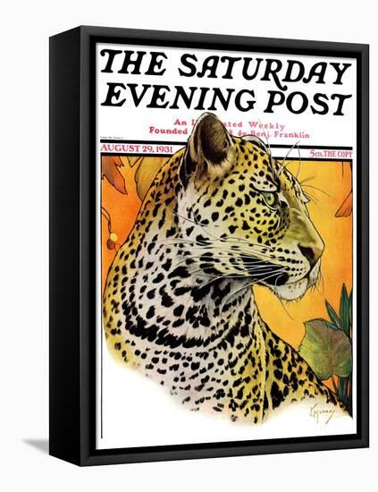 "Leopard," Saturday Evening Post Cover, August 29, 1931-Jack Murray-Framed Stretched Canvas