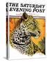 "Leopard," Saturday Evening Post Cover, August 29, 1931-Jack Murray-Stretched Canvas