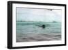 Leopard Seal, Antarctica-Natalie Tepper-Framed Photo