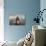 Leopard Seal, Cuverville Island, Antarctica-Paul Souders-Photographic Print displayed on a wall