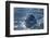 Leopard Seal, Deception Island, Antarctica-Paul Souders-Framed Photographic Print