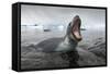 Leopard Seal Hunting, Antarctica-Paul Souders-Framed Stretched Canvas