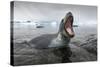 Leopard Seal Hunting, Antarctica-Paul Souders-Stretched Canvas