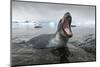 Leopard Seal Hunting, Antarctica-Paul Souders-Mounted Photographic Print