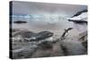 Leopard Seal Hunting Gentoo Penguin, Antarctica-Paul Souders-Stretched Canvas