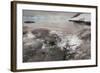 Leopard Seal Hunting Gentoo Penguin, Antarctica-Paul Souders-Framed Photographic Print