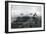 Leopard Seal (Hydrurga Leptonyx) Hunting Gentoo Penguin (Pygoscelis Papua) into Shore, Antarctica-Ben Cranke-Framed Photographic Print