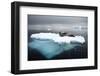 Leopard Seal (Hydrurga Leptonyx) Resting on Iceberg, Gerlache Strait, Antarctica-Enrique Lopez-Tapia-Framed Photographic Print