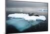 Leopard Seal (Hydrurga Leptonyx) Resting on Iceberg, Gerlache Strait, Antarctica-Enrique Lopez-Tapia-Mounted Photographic Print