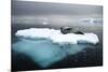 Leopard Seal (Hydrurga Leptonyx) Resting on Iceberg, Gerlache Strait, Antarctica-Enrique Lopez-Tapia-Mounted Photographic Print