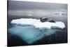 Leopard Seal (Hydrurga Leptonyx) Resting on Iceberg, Gerlache Strait, Antarctica-Enrique Lopez-Tapia-Stretched Canvas