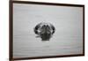 Leopard Seal in Antarctica-Paul Souders-Framed Photographic Print