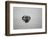 Leopard Seal in Antarctica-Paul Souders-Framed Photographic Print