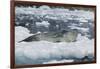 Leopard Seal Looking Up-DLILLC-Framed Photographic Print