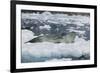 Leopard Seal Looking Up-DLILLC-Framed Photographic Print