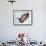 Leopard Seal Mouthing its Own Reflection in the Camera Port, Antarctica-null-Framed Photographic Print displayed on a wall