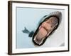 Leopard Seal Mouthing its Own Reflection in the Camera Port, Antarctica-null-Framed Photographic Print