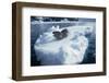 Leopard Seal on an Iceberg-W. Perry Conway-Framed Photographic Print