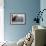 Leopard Seal (On Right), Facing Up to Southern-null-Framed Photographic Print displayed on a wall