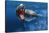 Leopard Seal Swimming Underwater Showing its Sharp Teeth-null-Stretched Canvas