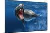 Leopard Seal Swimming Underwater Showing its Sharp Teeth-null-Mounted Art Print