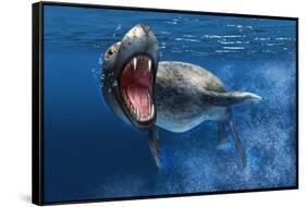 Leopard Seal Swimming Underwater Showing its Sharp Teeth-null-Framed Stretched Canvas