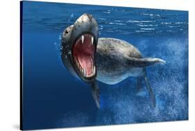 Leopard Seal Swimming Underwater Showing its Sharp Teeth-null-Stretched Canvas