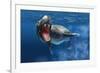 Leopard Seal Swimming Underwater Showing its Sharp Teeth-null-Framed Art Print