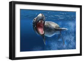 Leopard Seal Swimming Underwater Showing its Sharp Teeth-null-Framed Art Print