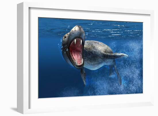 Leopard Seal Swimming Underwater Showing its Sharp Teeth-null-Framed Art Print