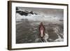 Leopard Seal-Paul Souders-Framed Photographic Print